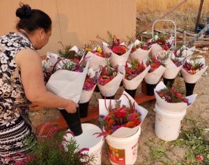 A flower farmer’s wife prepares bouquets on their farm in Sacramento. These flowers were bought by ABIRC and sold in the Clovis and Fresno area.